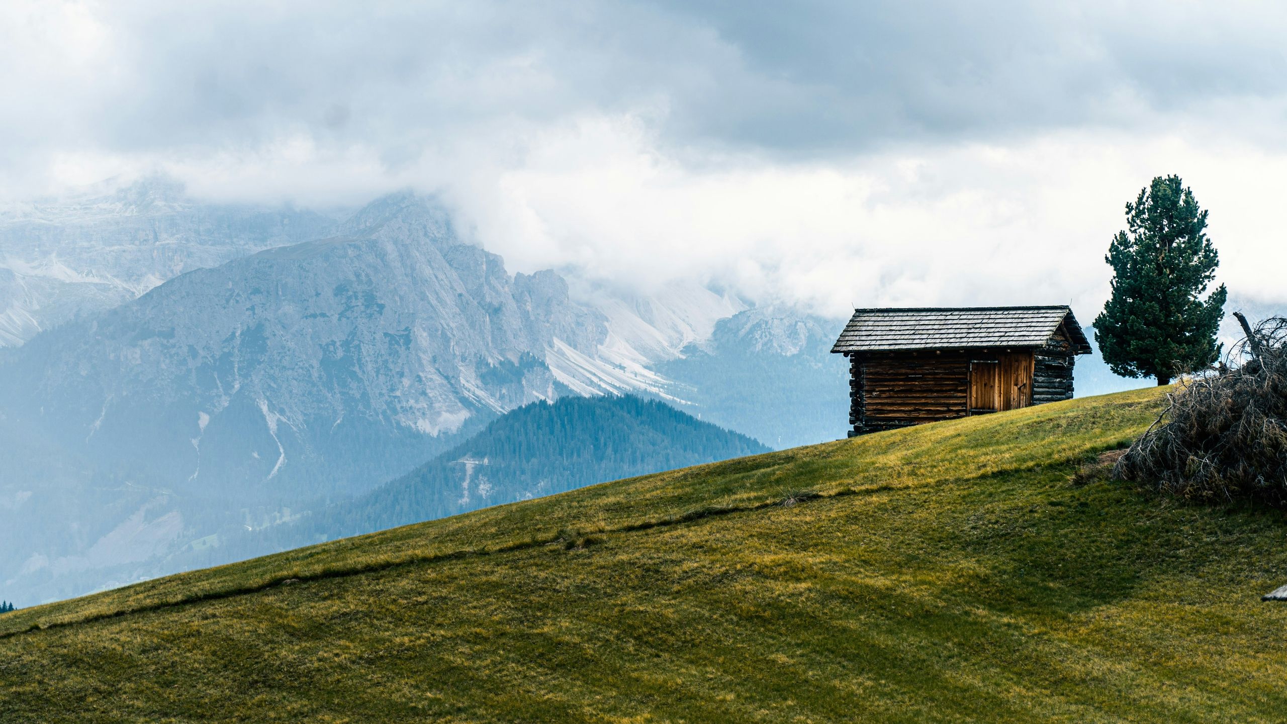 A log hut and a single pine on a sloping alpine meadow, cloud-covered peaks behind.
